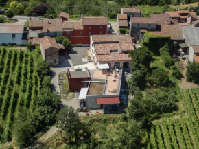 Piccolo Bacco dei Quaroni